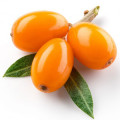 Sea Buckthorn